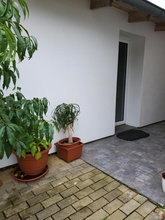 Apartman Stary Liskovec Lägenhet Brno Exteriör bild